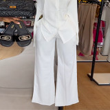 Solid Color Long Sleeve Shirt Wide leg Pants Suit GCNE-9236