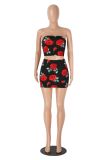 Sexy Print Wrap Chest Top Skirt 2 Piece Set GXYF-0469