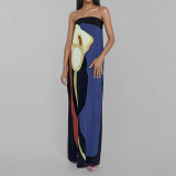 Plus Size Print Tube Tops Backless Maxi Dress GMAN-28178