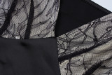 Sexy Patchwork Lace Slin Mesh Midi Dress GLAG-D3914328G