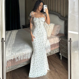 Sexy Print Tie Up Sling Maxi Dress GLAG-D248395G