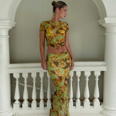 Fashion Print Mesh T Shirt And Long Skirts 2 Piece Set GLAG-S3914331G