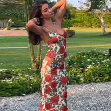 Sexy Print V Neck Sling Tops Long Skrits Suit  GLAG-S4516371G