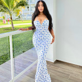 Sexy Print Tie Up Sling Maxi Dress GLAG-D248395G