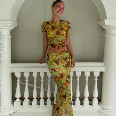 Fashion Print Mesh T Shirt And Long Skirts 2 Piece Set GLAG-S3914331G