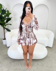 Print Ruffles Tie Up Mesh Mini Dress GDYF-6810