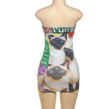 Animal Color Clash Print Tube Tops Mini Dress DLSF-K25D66092