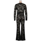 Lace Flocking See Through Two Piece Pants Set AIL-311