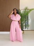 Solid Lapel Crop Top And Wide Leg Pants 2 Piece Set SFY-716