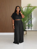 Solid Lapel Crop Top And Wide Leg Pants 2 Piece Set SFY-716