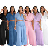 Solid Lapel Crop Top And Wide Leg Pants 2 Piece Set SFY-716