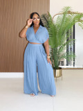Solid Lapel Crop Top And Wide Leg Pants 2 Piece Set SFY-716