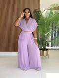 Solid Lapel Crop Top And Wide Leg Pants 2 Piece Set SFY-716