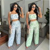 Sexy Sleeveless Print Loose Two Piece Pants Set GDIM-2520