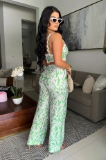 Sexy Sleeveless Print Loose Two Piece Pants Set GDIM-2520