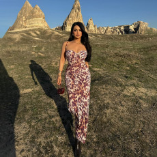 Deep V Neck Print Backless Maxi Dress FL-WQ25135MHO