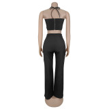Sexy Halterneck Tops Hollow Out Pants 2 Piece Set BY-7313