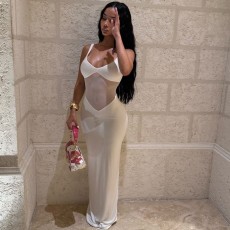 Mesh V Neck Backless Slim Maxi Dress GWSD-D1994438