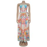 Sexy Print Backless Wide Leg Jumpsuit BY-7312