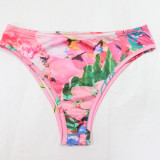 Printed Bikini Swimsuit 3 Piece Set Without Headscarf CYA-901773