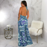 Print Sleeveless Backless Maxi Dress YF-20162