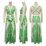 Sleeveless Deep V Neck Print Maxi Dress YF-20167