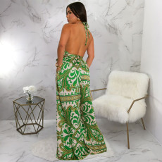 Print Sleeveless Backless Maxi Dress YF-20162