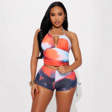 Print Tie Up Halterneck Two Piece Swimsuit GBGF-8804