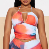 Print Tie Up Halterneck Two Piece Swimsuit GBGF-8804