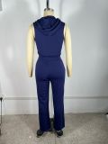 Color Block Patchwork Hooded Two Piece Pants Set TE-4735