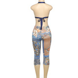 Sexy Hanging Neck Strap Backless Floral Print Top Pants Suit DLSF-K24S62191