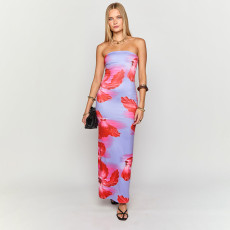Floral Print Tube Top Pleated Maxi Dress GSZM-D25DS214