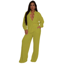 Solid Color Long Sleeve Pleated Two Piece Pants Set ASL-6793
