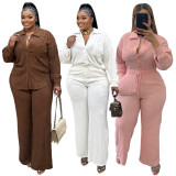 Solid Color Long Sleeve Pleated Two Piece Pants Set ASL-6793