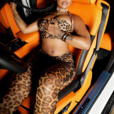 Leopard Print Wrap Chest Backless Two Piece Pants Set GJYO-JS919076