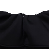 Plus Size Ruffled Big Swing Party Dress  GMLF-3329