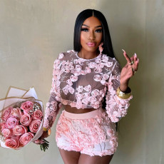 Embroidered Mesh O Neck Long Sleeve Top Shorts Set CYA-901737