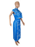 Sleeveless Print Tops Long Skirt 2 Piece Set SHD-9790