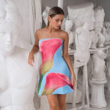Floral Printed Backless Tube Tops Mini Dress GDSF-D25DS219