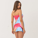 Floral Printed Backless Tube Tops Mini Dress GDSF-D25DS219