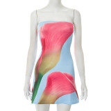 Floral Printed Backless Tube Tops Mini Dress GDSF-D25DS219