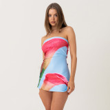 Floral Printed Backless Tube Tops Mini Dress GDSF-D25DS219