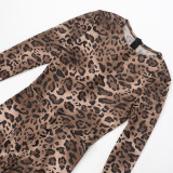 Leopard Print Long Sleeve Mesh Jumpsuit MXBF-J25JP097