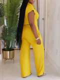 Sleeveless Lapel Straight Jumpsuit AIL-323