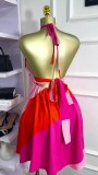 Color Block Sleeveless Backless Mini Dress GXIN-S-8846