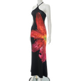 Halterneck Print Sleeveless Maxi Dress MXBF-J25DS063