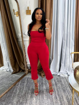 Solid Color Halterneck Pants Suit QYMF-3078