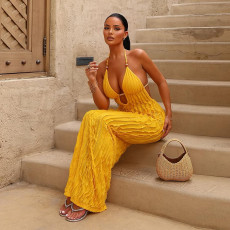 Pleated Halterneck Deep V Neck Maxi Dress GSLF-K25D71887