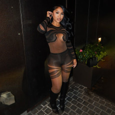 See Through Mesh Long Sleeve Jumpsuit GSLF-K25Q73661