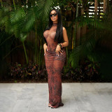 Mesh Print Sleeveless Two Piece Skirt Set DLSF-K25S74930